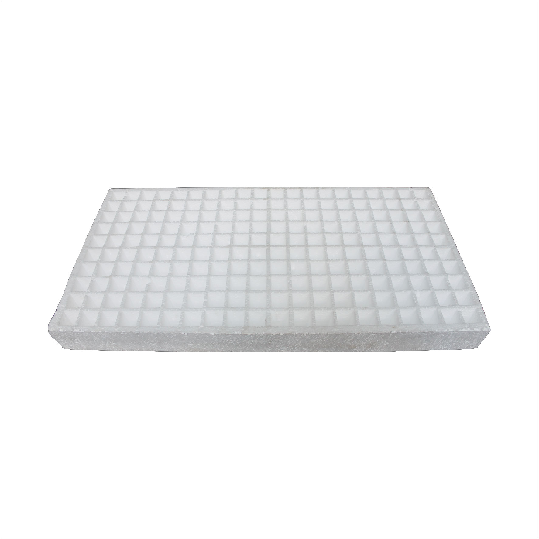 Seedling Trays